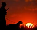 Bild: Patrick Pleul
ILLUSTRATION - Ein steht mit seinem Hund im Sonnenuntergang auf einem Feld. Foto: Patrick Pleul/Archiv