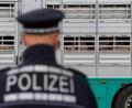 Symbolbild: Sebastian Gollnow/dpa
Polizisten kontrollieren einen Tiertransporter an einer Autobahn. Ein Oberpfälzer Unternehmen dieser Branche hat jetzt Ärger mit den Behörden bekommen.