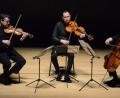 Bild: Kunz
Frank Peter Zimmermann (Violine), Antoine Tamestit (Viola) und Christian Poltéra (Violoncello, von links) spielen auf herausragenden Instrumenten von Antonio Stradivari (1648–1737).
