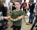 Bild: lg
Keine Berührungsängste mit der Königspython oder mit der Hornviper (im Hintergrund) haben diese Schüler zum Abschluss des Vortags.