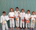 Bild: eib
Stolz präsentieren die jungen Judokämpfer ihre Medaillen. Das Bild zeigt von links Ronja Rosenberg (Haag), Maria Jäckel (Schönau), Romy Siebold (Tiefenbach), Katharina Baumer (Tiefenbach), Annalena Böhm (Schönsee) und Alexandra Baumer (Tiefenbach).