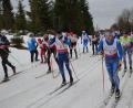 Bild: fz
Gut 100 Ski-Langläufer aller Altersklassen jagten am Sonntag durch die Loipen auf der Silberhütte. Der TuS Mitterteich richtete einen Nordbayern-Cup-Lauf und zugleich die Oberpfalzmeisterschaften aus.