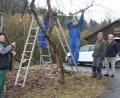 Bild: gpa
Neben allen Diskussionen wird auch gearbeitet. Michael Altmann, Manfred Bauriedl und Josef Bauer (von links) beschäftigen sich mit dem Baumschnitt, Heinz Jantschik verleiht den Fassadenbrettern am Lehrbienenstand mit „Streichen“ neuem Glanz und die Aufgabe des Imker-Vorsitzenden Anton Schönberger ist es, die Äste der „Holzaktion“ zu stapeln.
