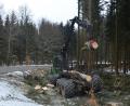 Bild: dob
Die Holzernte bringt nicht mehr die von den Waldbauern gewünschten Erträge.