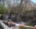 Bild: Hösamer
Eine Winterlinde aus dem benachbarten Schlosspark ist in den städtischen Friedhof Fronberg gestürzt.