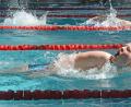 Bild: Gabi Schönberger
So wie diese Schwimmer geben alle über 200 Teilnehmer beim Bezirksfinale Schwimmen alles.