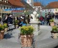 Bild: ws
Der Kunsthandwerkliche Ostermarkt am Palmsonntag bietet sich auch für einen Spaziergang durch die Kreisstadt an.