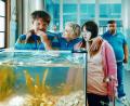 Bild:  Sony Pictures/dpa
Axel Stein als Rainman, Jella Haase als Laura, Luisa Wöllisch als Franzi und Kida Khodr Ramadan als Eddy (von links) in "Die Goldfische".