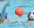 Bild: A. Schwarzmeier
Die Jugendlichen des SV Weiden sind im Wasserball sehr erfolgreich.