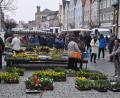 Bild: ak
Beim Stand eines Gärtners macht der Frühlingsmarkt seinem Namen alle Ehre.