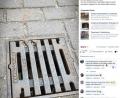 Bild: facebook.com/Feuerwehr Erlangen
Tierrettung bei der Feuerwehr Erlangen: Zwei Spatzen waren im Gullideckel gefangen.