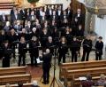 Bild: hi
Der überregionale Chor mit Mixtura Cantorum im Fränkischen Sängerbund begeistert die Besucher in der Neustädter Stadtpfarrkirche.