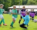 Bild: zg
Geht es nach den Plänen des BFV, gibt es bei den jüngsten Fußballern bald keinen Torhüter mehr.