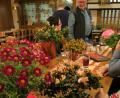 Bild: gru
Für jeden Gartler steht bei den Blumenschmuck-Dankesabenden ein Blumenstock bereit, den er im häuslichen Umfeld oder auch zum ehrenamtlichen Mitgestalten im öffentlichen Bereich verwenden darf.