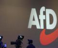 Archivbild: Karl-Josef Hildenbrand/dpa
Die AfD im Blick