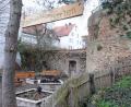 Bild: Stephan Huber
Die Stadt bewirtschaftet diverse Grünflächen. Bestes Beispiel ist der städtische Garten an der Stadtmauer im Max-Reger-Park.