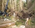 Bild: prh
Ein Harvester beseitigte die Sturmschäden, die Sturmtief Fabienne in den Corporationswaldungen angerichtet hat. Fast 200 Festmeter Holz mussten geschlagen werden.
