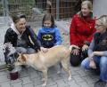Bild: Hirsch
Gabi Hahn (Zweite von rechts) bleibt Vorsitzende des Tierschutzvereins, der im vergangenen Jahr 81 Hunde vermittelt hat. Rechts Vorstandsmitglied Birgit Hiltl.
