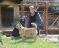Bild: Gabi Schönberger
Claudia Biersack und ihre beiden Hunde vor dem leeren Gehege: Von den zehn früheren Bewohnern - kleinen Hasen - fehlt jede Spur.