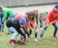Bild: Gabi Schönberger
Hier soll eine Blumenwiese entstehen: Schüler des Gymnasiums Neustadt entmoosen am Umweltaktionstag zusammen den Rasen.