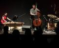 Bild: Wolfgang Steinbacher
Beim Studiokonzert „Kyoto mon amour“ im Amberger Stadttheater begeistern Kazutoki Umezu (Klarinette), Naoko Kikuchi (Koto), John Eckhardt (Bass) und Eric Schaefer (Schlagzeug) mit Jazz, Blues, Rock und Klassik.