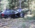 Bild: jma
Der Audi landete nach dem Unfall in einem Wald.