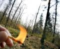Bild: Frank Rumpenhorst
Ein Streichholz brennt in einem trockenen Wald. Foto: Frank Rumpenhorst/Archivbild