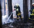 Bild: Julian Stähle
Feuerwehrleute löschen einen Waldbrand bei Oranienburg. In einem Waldstück im nördlichen Brandenburg war in der Nacht zu Ostermontag ein großes Feuer ausgebrochen.