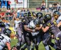 Bild: Dieter Jäschke
bulldogs
