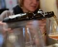 Bild:  Britta Pedersen/dpa
Hier wird Bier nicht einfach nur getrunken, sondern verkostet. Und zwar europäisch. Im Tempel-Museum Etsdorf gibt es am Donnerstag, 9. Mai, eine Bier-Geschmacksreise zum Europatag.