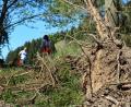 Bild: spw
Wald und Äcker sind staubtrocken. Daher appelliert die Feuerwehr, dass auch Spaziergänger achtsam unterwegs sind. Vor allem dürfen keine Glasflaschen oder Scherben zurückgelassen werden.