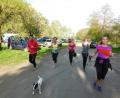 Bild: hai
Joggen mit Hund – auch das ist möglich am Samstag, 4. Mai, bei „Outdoor & Fire 2019“ des Fichtelgebirgsvereins.