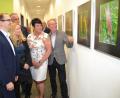 Bild: hcz
BBV-Geschäftsführer Hans Winter, Leitender Steuerberater Andreas Gierisch, "Freie Fotografen"- Präsidentin Zaneta Weidner, Stadtrat Horst Fuchs, BBV-Bildungsbeauftragte Gabi Birkner und Stadtrat Reinhold Wildenauer (von links) bewundern Bilder der Foto-Ausstellung "Landwirtschaft - unser tägliches Brot".