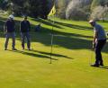 Bild: bl
Ohne Rasen geht es nicht, aber der Golfplatz bei Neunburg hat Flächen für Wildblumen und Obstbäume (im Hintergrund) reserviert.
