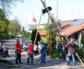 Bild: bey
Hauruck: Mitglieder des VdK, der AWO, der KAB und der Gewerkschaft stellen den Freiheitsbaum auf.