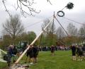 Bild: gz
Die Festburschen erproben beim Maibaumaufstellen mit Schwalben ihre Stärke. Der Baum grüßt wegen der Straßenbauarbeiten am Tillyplatz vom idyllischen Kurpark aus.