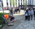 Bild: jma
Zum ersten Mal wird ein Maibaum an der Grund- und Mittelschule Grafenwöhr aufgestellt.
