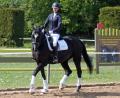Bild: otr
Am Ende ein 2. Platz für Julia Bäumler und "Casandra".