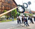 Bild: hai
Der Maibaum in Guttenthau.