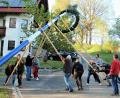Bild: stg
Mit Muskelkraft hoben die Kuchenreuther ihren Maibaum nach oben.