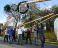 Bild: bey
Viele Helfer wuchten den Maibaum in die Höhe.