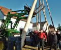 Bild: jml
Ein ganzer Stangenwald an Schwalben wird gebraucht, bis der Maibaum steht. Feuerwehr-Kommandant Josef Fischer (vorne) dirigiert die Aktion.