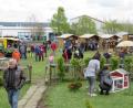 Bild: ubb
Den ganzen Sonntag von früh bis spät war ziemlich viel los auf dem gesamten Vereinsgelände und in der Halle..