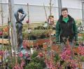 Bild: wrt
Felix Punzmann, einer der Geschäftsführer von Garten Punzmann, präsentiert am 11. und 12. Mai 2019 zusammen mit seinem Team ein vielfältiges Angebot an Pflanzen, Bäumen und Sträuchern.
