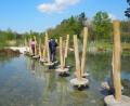 Bild: bl
Übers Wasser balancieren: Das probieren im Erlebnispark Wasser-Fisch-Natur Kinder und Erwachsene gerne aus.