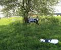 Bild: rw
Das schwere Motorrad rutschte nach der Kollision unter der Leitplanke durch. der Fahrer wurde schwer verletzt und von Passanten vorbildlich erstversorgt.