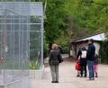 Bild: Thomas Dobler
Die neuen Vogel-Volieren in der Höllohe werden Ende nächster Woche der Öffentlichkeit vorgestellt. Zu den Pfauen, Fasanen und Störchen kommen dann auch noch zwei Schnee-Eulen, die von einem anderen Park in die Oberpfalz umziehen.
