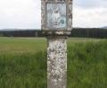 Bild: lg
An der Straße in die Hanau zwischen Oberviechtach und Wildeppenried befindet sich dieser barock gestaltete Granit-Bildstock, dessen Votivbild ein Gelübde an die Gottesmutter zum Ausdruck bringt. Bild: lg