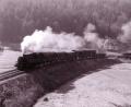 Bild: Gottfried Turnwald /Archiv Josef Schmaußer
Eisenbahnromantik pur: Diese Aufnahme zeigt einen Zug vor dem Gasthaus Lauterach auf dem Weg nach Ursensollen.
