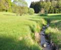 Bild: es
Der Kainzbach schlängelt sich durch das Tal.
